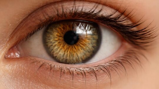 Couleur hazel : ce que ça veut dire, exactement