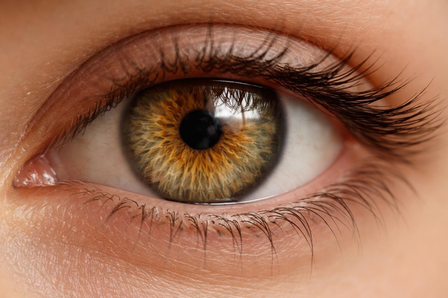 découvrez la signification exacte de la couleur hazel, ses nuances uniques et ce qu'elle révèle sur les yeux.